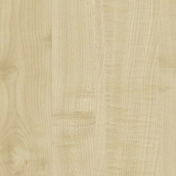 PAL Swiss Krono D375 PR NATURAL MAPLE 