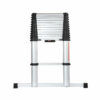 купить Телескопическая лестница TELESTEPS Eco Line 3,8 M S в Кишинёве 