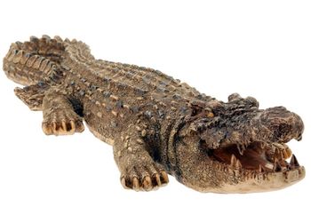 Statuie "Crocodil" decorativa 46cm 