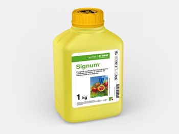 купить Сигнум - фунгицид для защиты косточковых и овощей от комплекса болезней - BASF в Кишинёве 