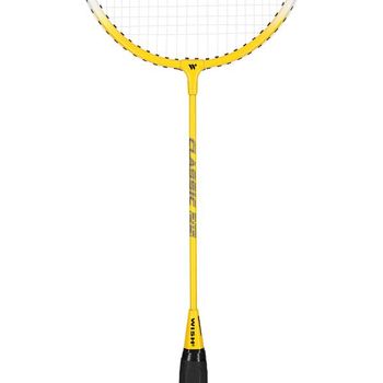 Paleta badminton + husa 3/4 Wish 14-00-016 (3529) 