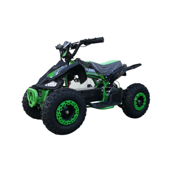 ATV pentru copii Gherakl EATV03 (electric) 1000W, black 