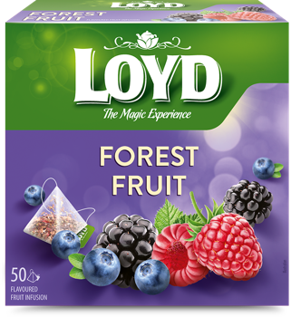 купить LOYD Forest Fruit, 50 пак. в Кишинёве 