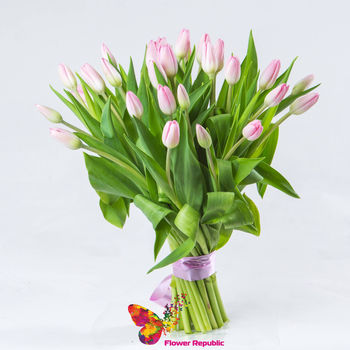 Розовый  голландские тюльпаны поштучно 