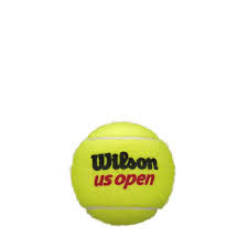 Мячи для большого тенниса (3 шт.) Wilson US Open RD TBall WRT107300 (2164) 