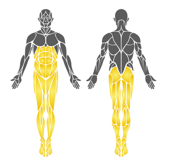 "Abdomen+Twist" B-06 