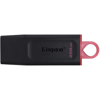 256GB USB Flash Drive Kingston DTX/256GB DataTraveler Exodia, USB 3.2 (memorie portabila Flash USB/внешний накопитель флеш память USB)