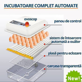 Инкубатор для яиц автоматический MS-64, 64 куриных, 52 утиных, 120 перепелиных яйца 