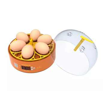 Incubator pentru oua Demetra DM-6 