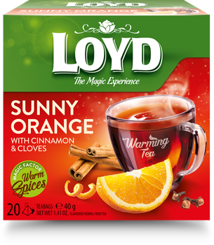 купить LOYD Warming Tea Sunny Orange with Cinnamon & Cloves, 20 пак в Кишинёве 