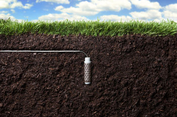 купить Зонд для датчика влажности почвы (сенсор) Soil-Clik (SC-PROBE)  HUNTER в Кишинёве 