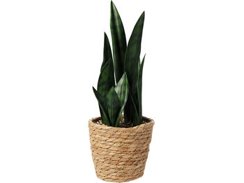 Planta artificiala "Sansevieria" 38cm, in ghiveci de iuta 