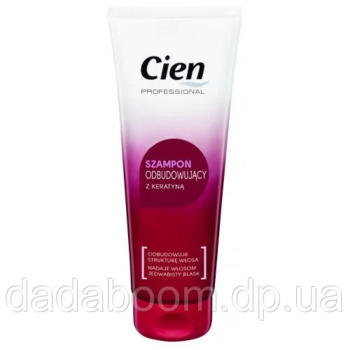 Шампунь Cien Professional Oil Care Shampoo для сухих и ломких волос 250 мл 