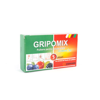 cumpără Gripomix cu fructoza pulb/sol. orala N5 (fructe de padure) în Chișinău 