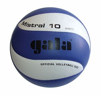 Мяч волейбольный N5 Gala Mistral 10 panels 5661 (139) 