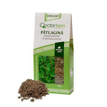 cumpără Ceai Patlagina 40g (Doctor-Farm) în Chișinău 