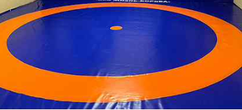 Тентовое покрытие для борьбы 9х9 м (blue, orange) (7626) 