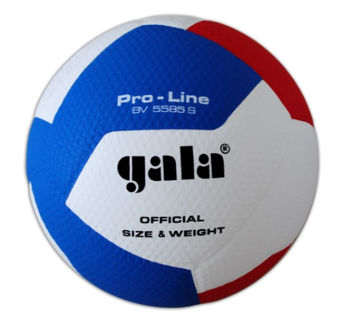 Мяч волейбольный №5 Gala Pro-Line 5585 (9768) 