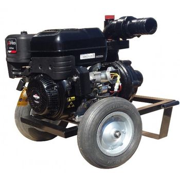 Мотопомпа Briggs & Stratton DWP 420 BS3 