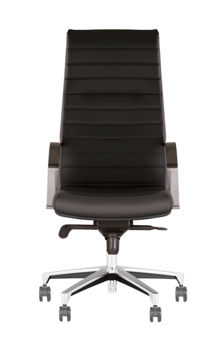 купить Кресло IRIS steel chrome P RD-001/1,043 в Кишинёве 