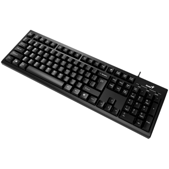 Keyboard Genius Smart KB-100XP, Fn keys, Spill-Resistant, Palm Rest, Curve key cap, 1.5m, Black, USB 
