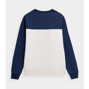 купить Пуловер без капюшона 4F SWEATSHIRT M226 4FSS23TSWSM226 BEIGE в Кишинёве 