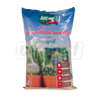 cumpără Substrat Turba pentru cactusi 2.5 L  TORFLAND în Chișinău 