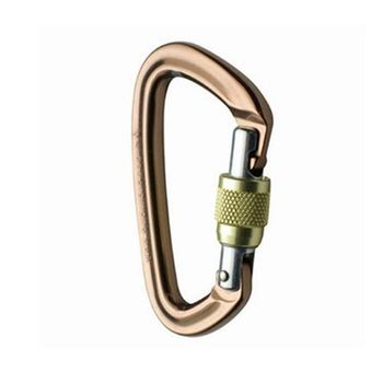 cumpără Carabinier alu key-lock Black Diamond Positron Screwgate, BD210283 în Chișinău 