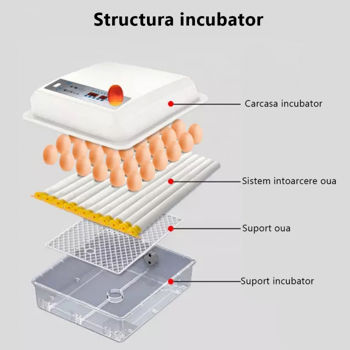 Incubator automat pentru 64 ouă 
