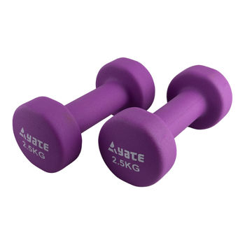 cumpără Gantere Yate 2.5 kg Neoprene Coated Dumbbells acoperite cu neopren, per, SA04734 în Chișinău 