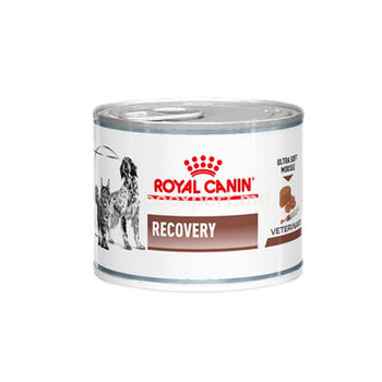 Royal Canin Recovery 195 gr 