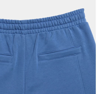 купить Джоггеры 4F TROUSERS CAS M138 4FSS23TTROM138 BLUE в Кишинёве 