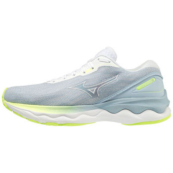купить Кроссовки для бега Mizuno WAVE SKYRISE 3 J1GD2209 01 в Кишинёве 
