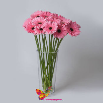 Gerbera roz pret/buc. 