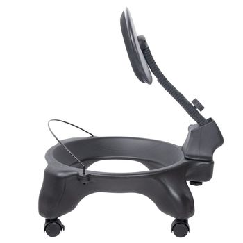 Стул c гимнастическим мячом inSPORTline G-Chair 10970 (3655) 