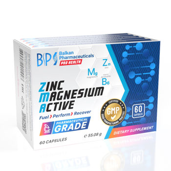 Zinc Magnesium Active N60 