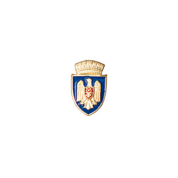Значок - Герб города Кишинев 
