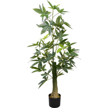 Deco Arbore Pachira Glabra