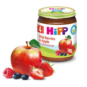 cumpără Hipp 4203 Pireu măr și fructe de padure (6 luni) 125g în Chișinău 