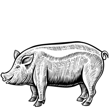 Porci