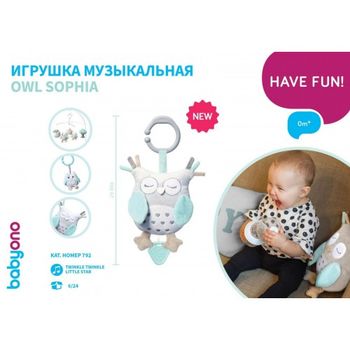 купить Babyono игрушка с музыкальной шкатулкой Owl Sofia в Кишинёве 