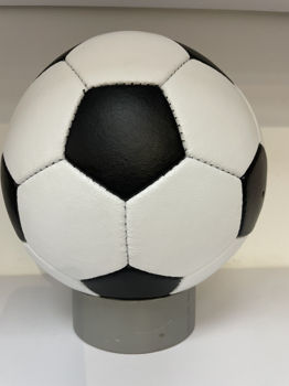 Мяч футбольный кожаный №5 Classic PRO white (7302) 