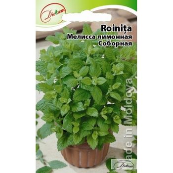 cumpără Seminte de Roinita 0.2 g (1209 99 990)  DS în Chișinău 