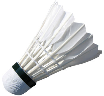 Fluturas badminton pana Champion S2090(8615) 