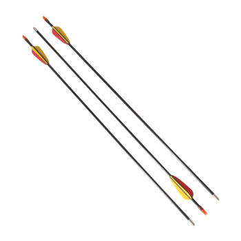купить Набор стрел Yate Set of Arrows, 3 pcs, SL00002 в Кишинёве 