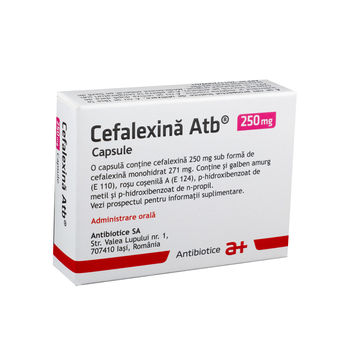 cumpără Cefalexina 250 mg caps. N10x2 în Chișinău 