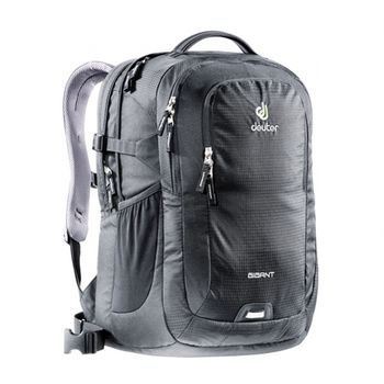 купить Рюкзак Deuter Gigant 32 L, 3812721 в Кишинёве 