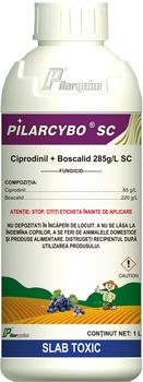 cumpără Pilarcybo SC - fungicid p/u prevenirea și combaterea bolilor la vița de vie și prun - Pilarquim în Chișinău 