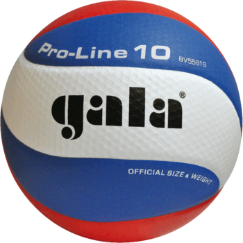 Minge volei №5 Gala Pro Line 5581 (1135) 