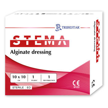 cumpără Pansament Stema Alginate dressing 10x10cm N1 în Chișinău 